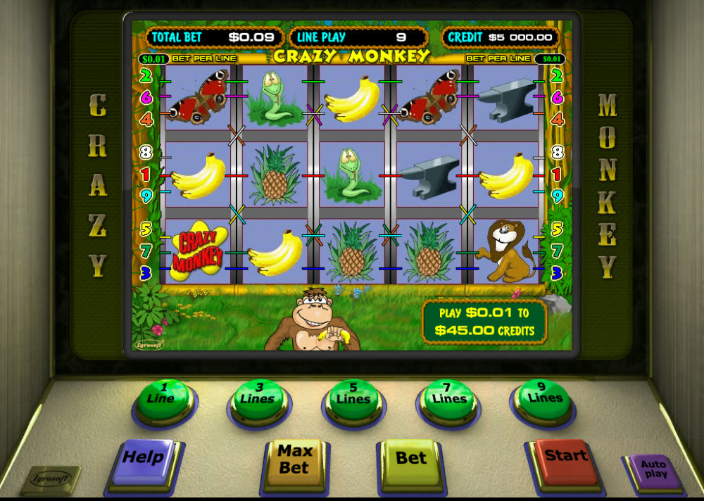 Игровое поле Crazy Monkey