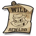Символ Wild