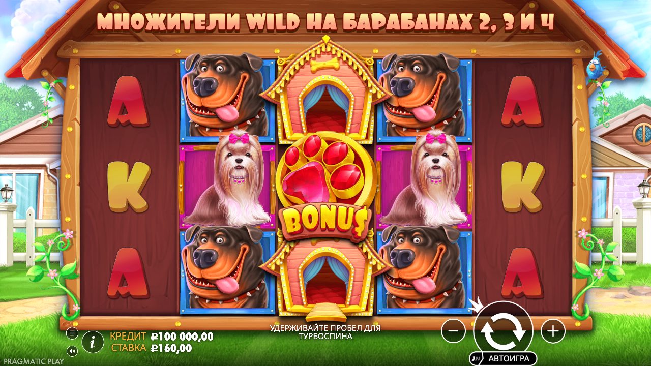 Игровое поле The Dog House