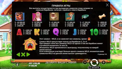 Справка The Dog House, страница 1 из 6